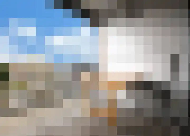 Jaagpad 193 Alkmaar thumbnail 21
