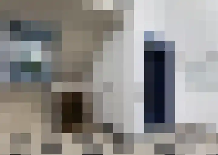 Jaagpad 193 Alkmaar thumbnail 25