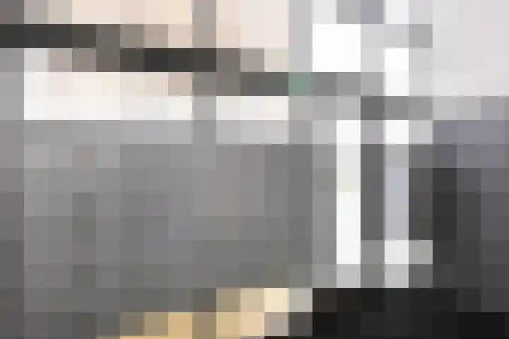 Jaagpad 193 Alkmaar thumbnail 26