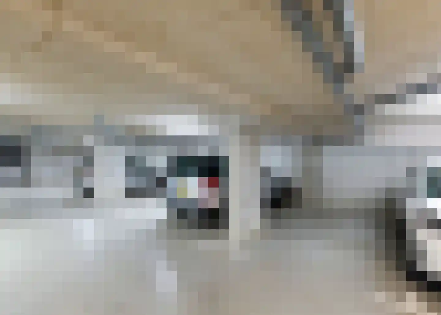 Jaagpad 193 Alkmaar thumbnail 30