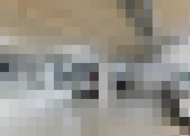 Jaagpad 193 Alkmaar thumbnail 30