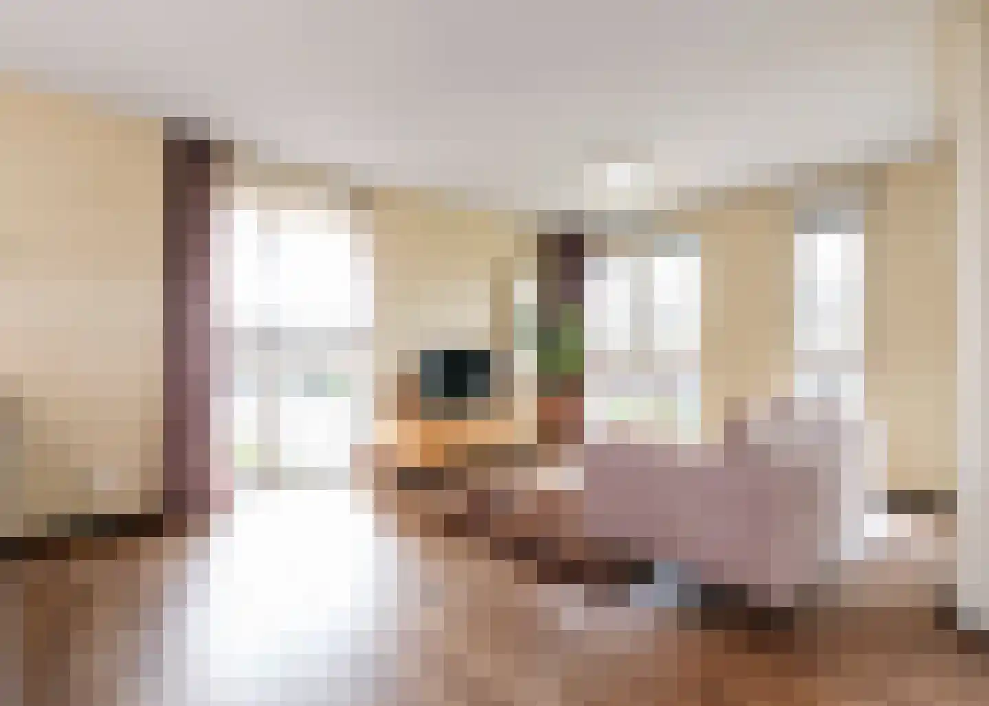 Jaagpad 193 Alkmaar thumbnail 4