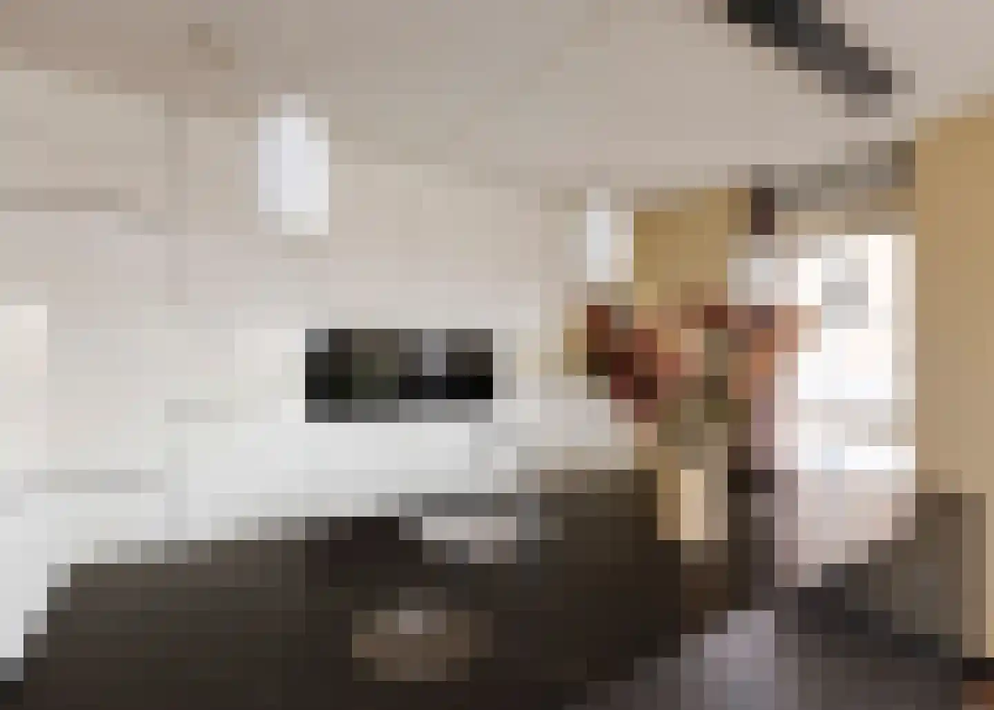 Jaagpad 193 Alkmaar thumbnail 8