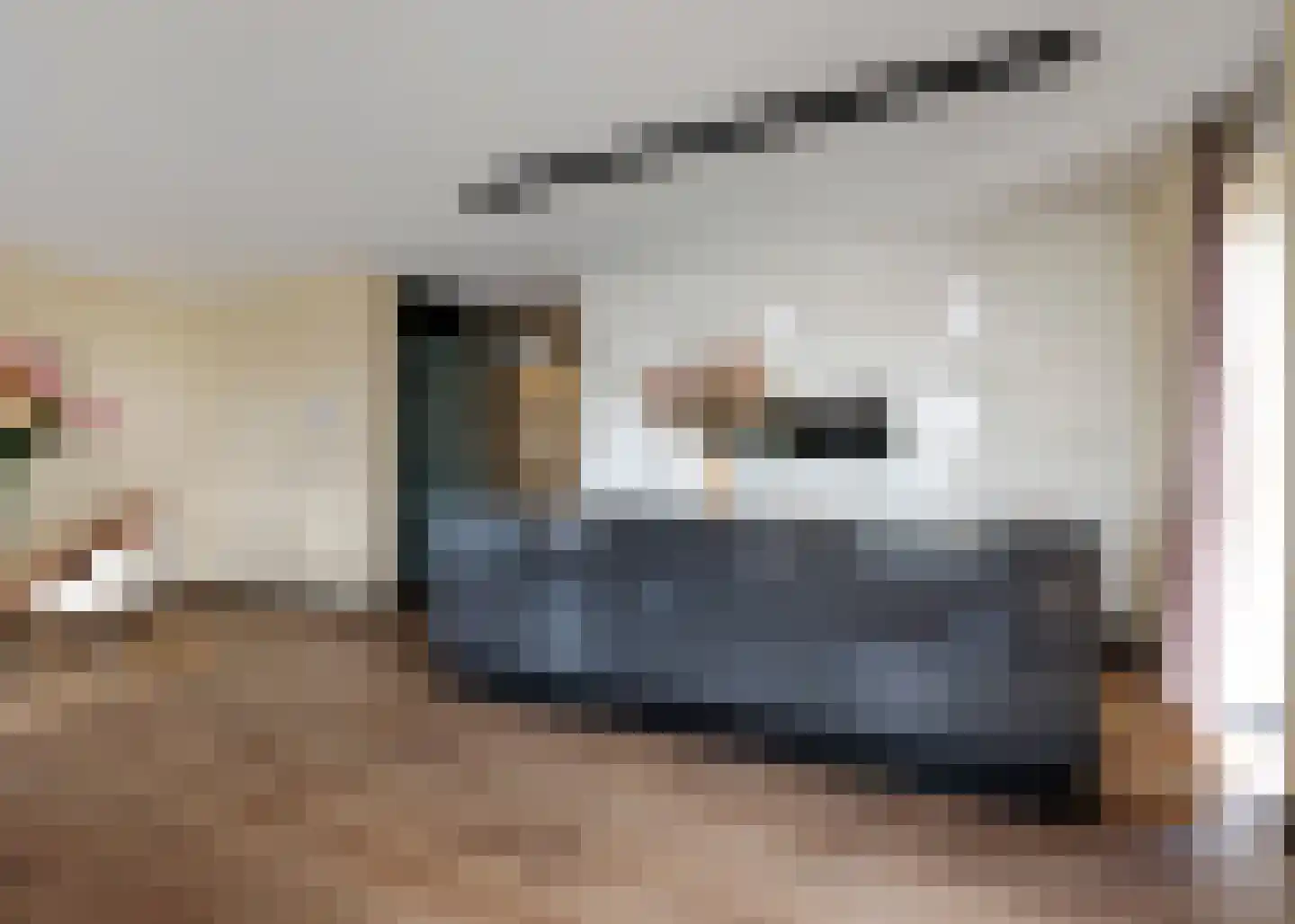 Jaagpad 193 Alkmaar thumbnail 9