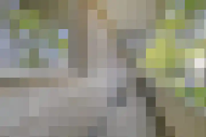 Jaagpad 25 Barendrecht thumbnail 11