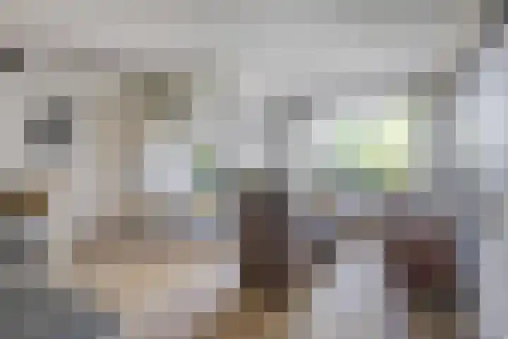 Jaagpad 25 Barendrecht thumbnail 12