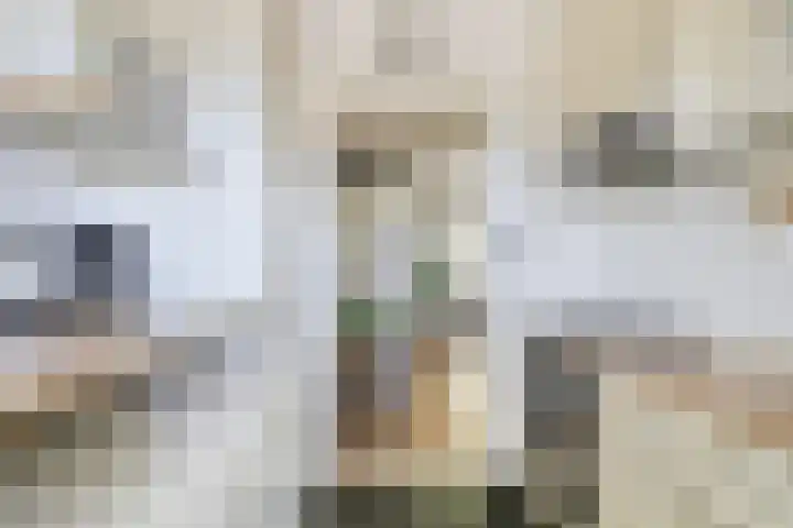 Jaagpad 25 Barendrecht thumbnail 18