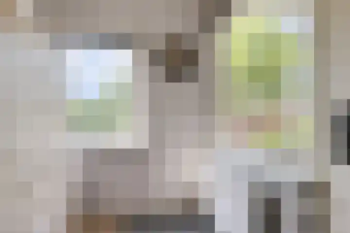 Jaagpad 25 Barendrecht thumbnail 23