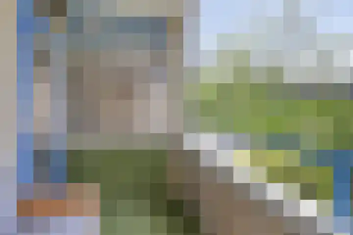 Jaagpad 25 Barendrecht thumbnail 26