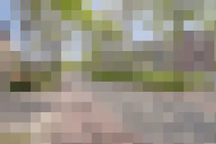 Jaagpad 25 Barendrecht thumbnail 30