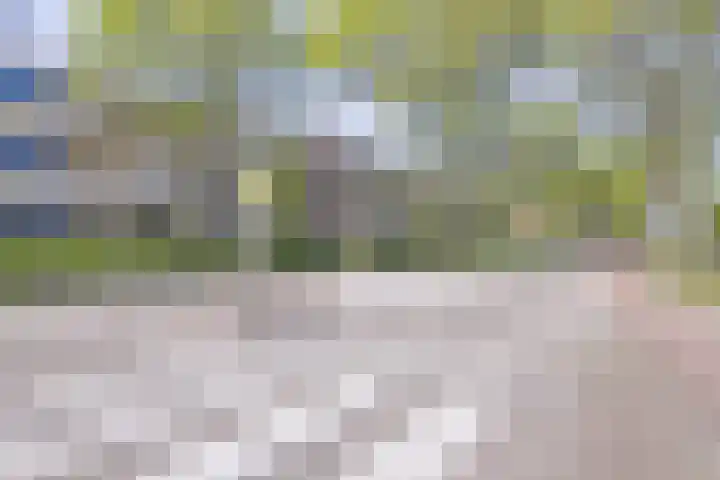 Jaagpad 25 Barendrecht thumbnail 31
