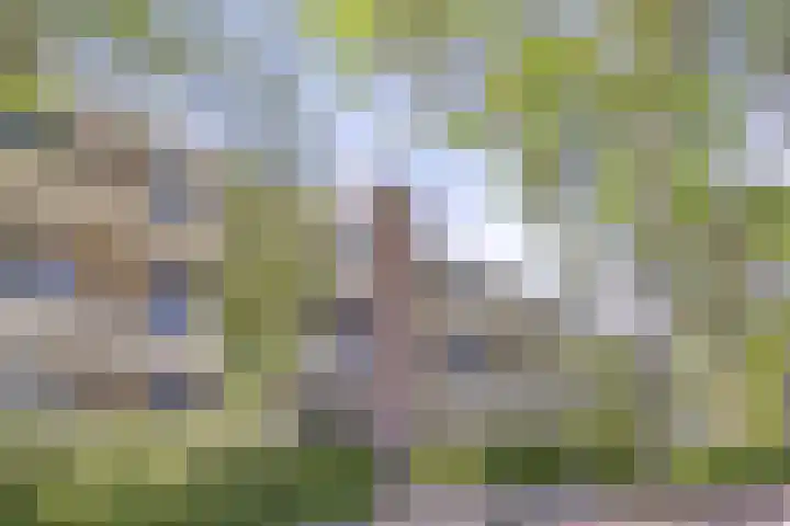 Jaagpad 25 Barendrecht thumbnail 34