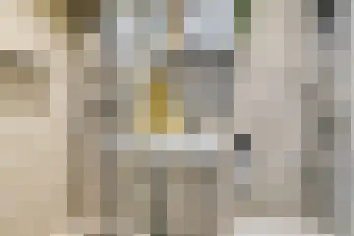 Jaagpad 25 Barendrecht thumbnail 4
