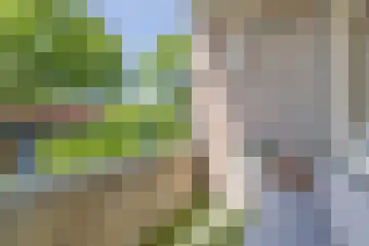 Jaagpad 25 Barendrecht thumbnail 5
