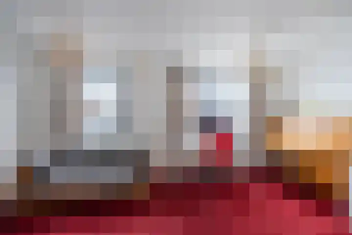 Jaagpad 26 Amsterdam thumbnail 18