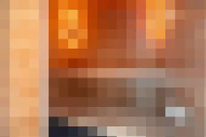 Jaagpad 26 Amsterdam thumbnail 45