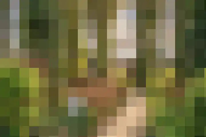 Jaagpad 26 Amsterdam thumbnail 47