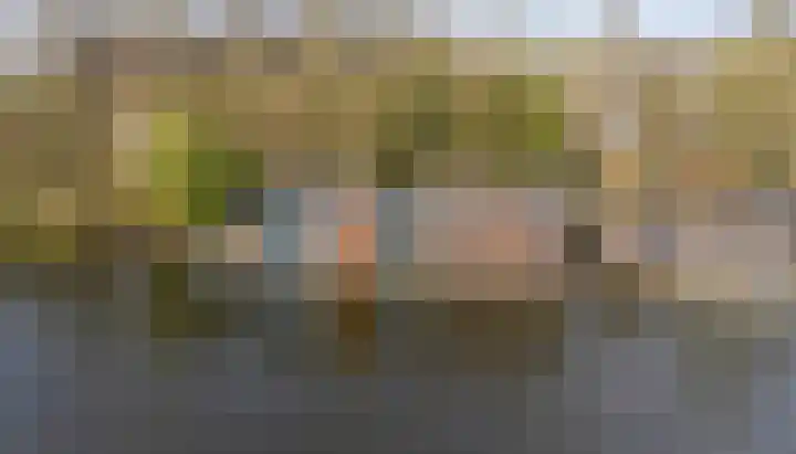 Jaagpad 26 Amsterdam thumbnail 49