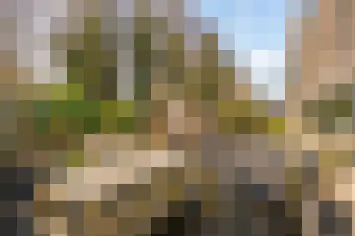 Jaagpad 26 Amsterdam thumbnail 5