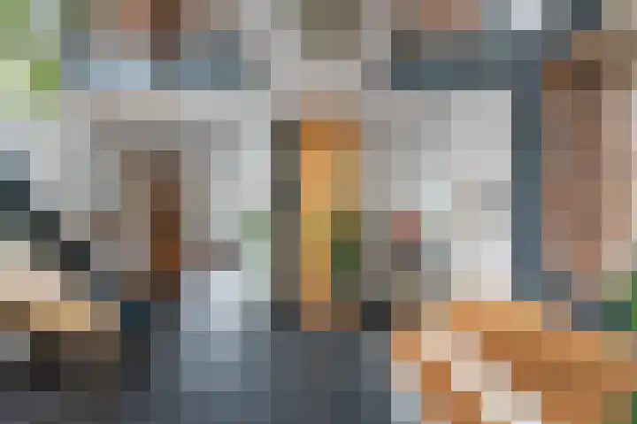 Jaagpad 26 Amsterdam thumbnail 9