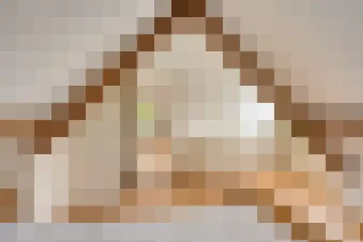 Jaagpad 30 Hazerswoude-Rijndijk thumbnail 18