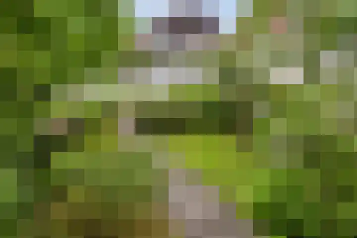 Jaagpad 30 Hazerswoude-Rijndijk thumbnail 19