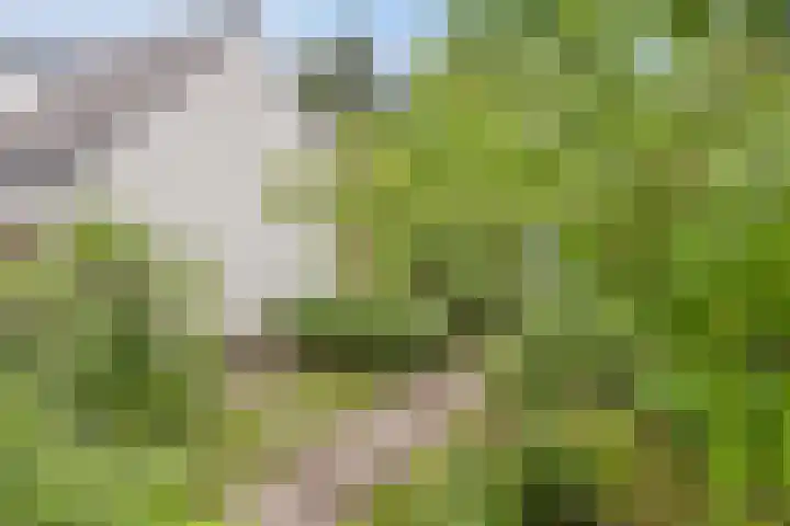 Jaagpad 30 Hazerswoude-Rijndijk thumbnail 22