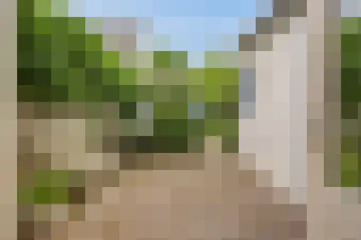 Jaagpad 30 Hazerswoude-Rijndijk thumbnail 23