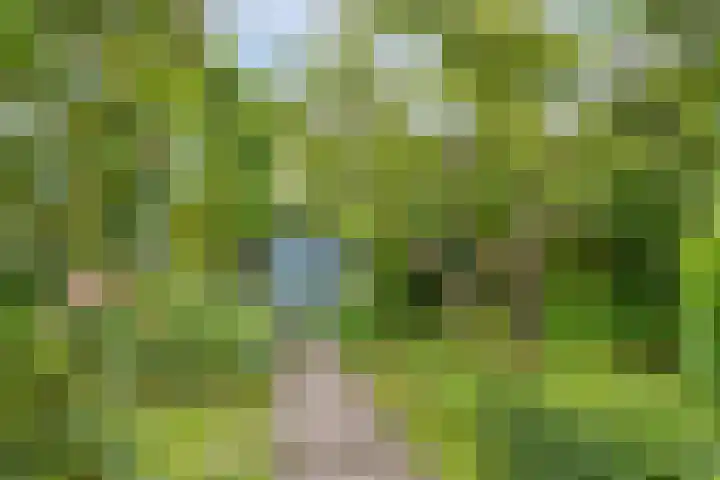 Jaagpad 30 Hazerswoude-Rijndijk thumbnail 24