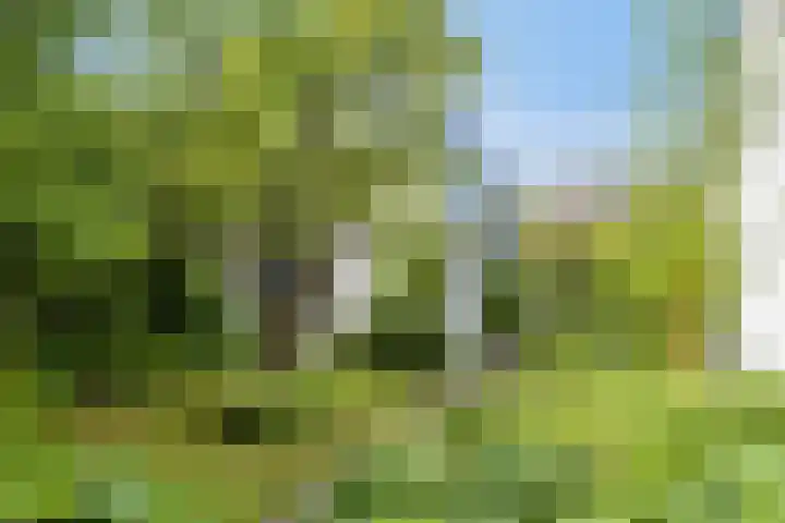 Jaagpad 30 Hazerswoude-Rijndijk thumbnail 26