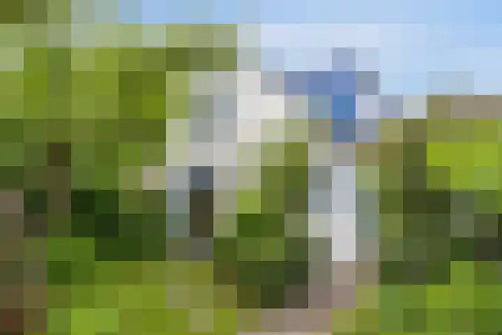 Jaagpad 30 Hazerswoude-Rijndijk thumbnail 27