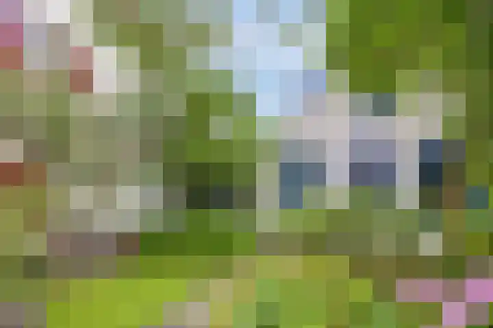 Jaagpad 30 Hazerswoude-Rijndijk thumbnail 28