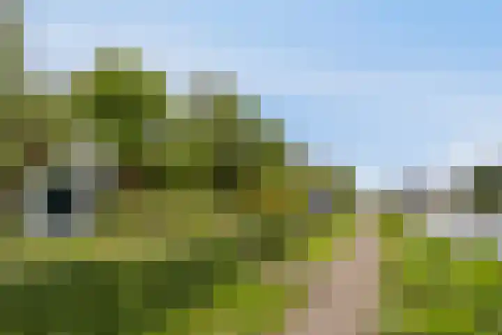 Jaagpad 30 Hazerswoude-Rijndijk thumbnail 29