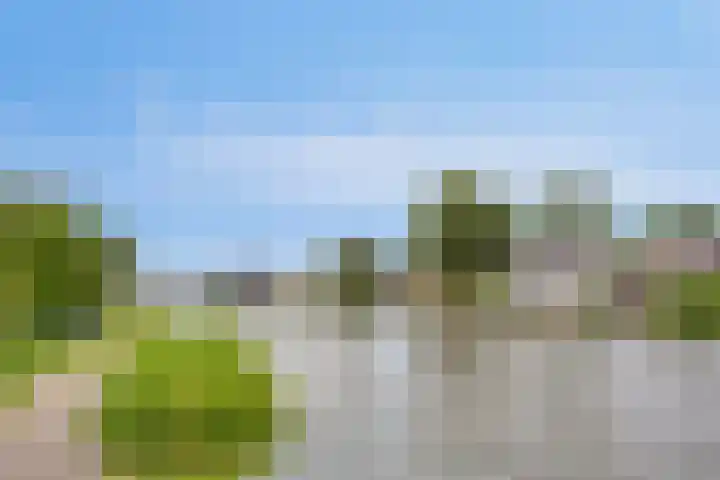 Jaagpad 30 Hazerswoude-Rijndijk thumbnail 31