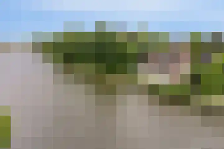 Jaagpad 30 Hazerswoude-Rijndijk thumbnail 32