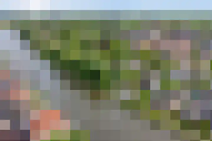 Jaagpad 30 Hazerswoude-Rijndijk thumbnail 33
