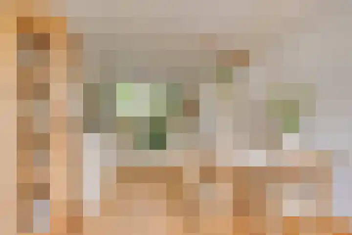 Jaagpad 30 Hazerswoude-Rijndijk thumbnail 7