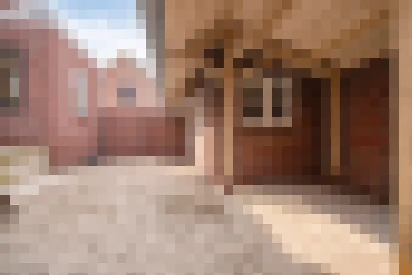 Jaagpad 31 Haastrecht thumbnail 13