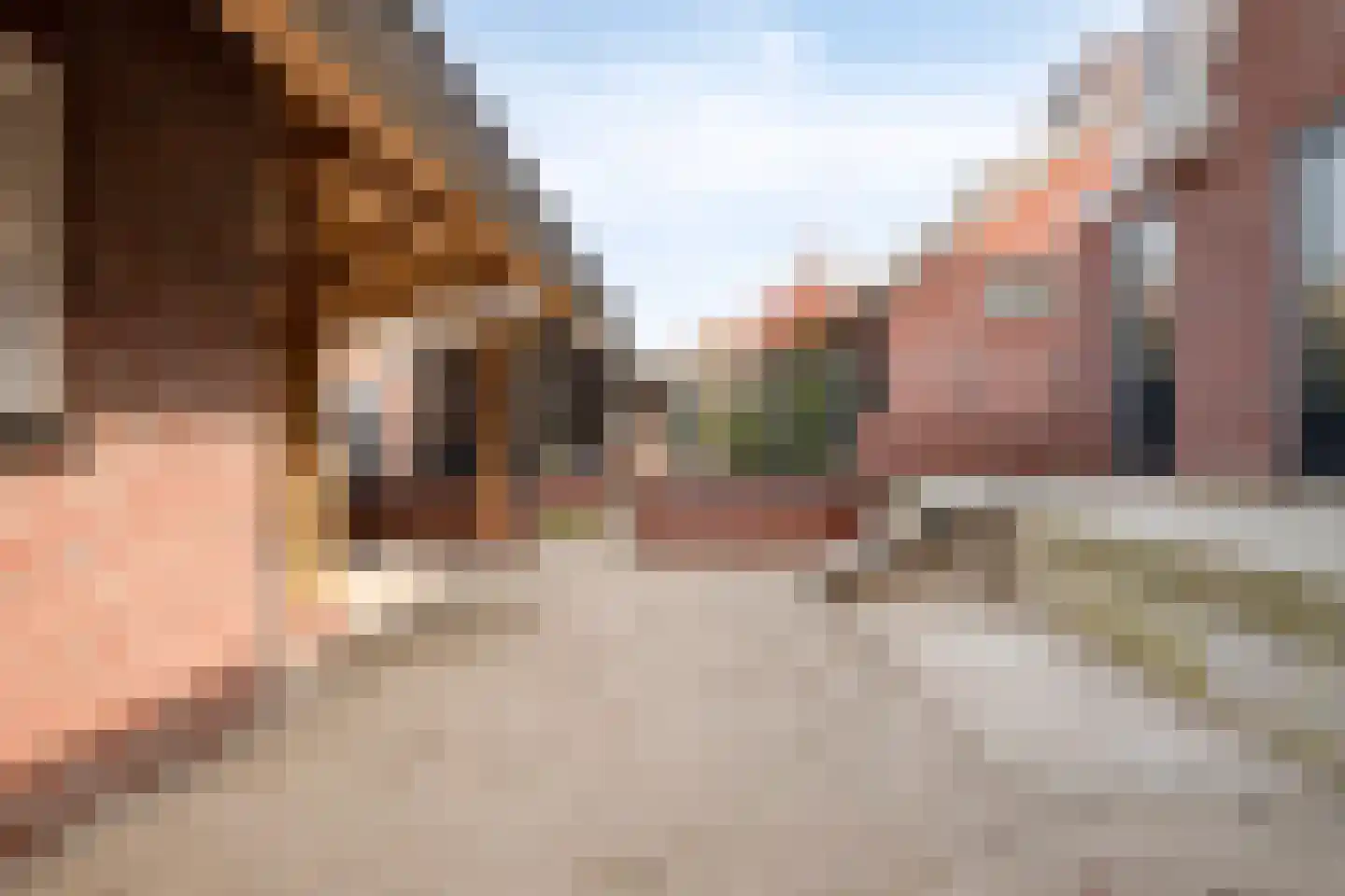 Jaagpad 31 Haastrecht thumbnail 15