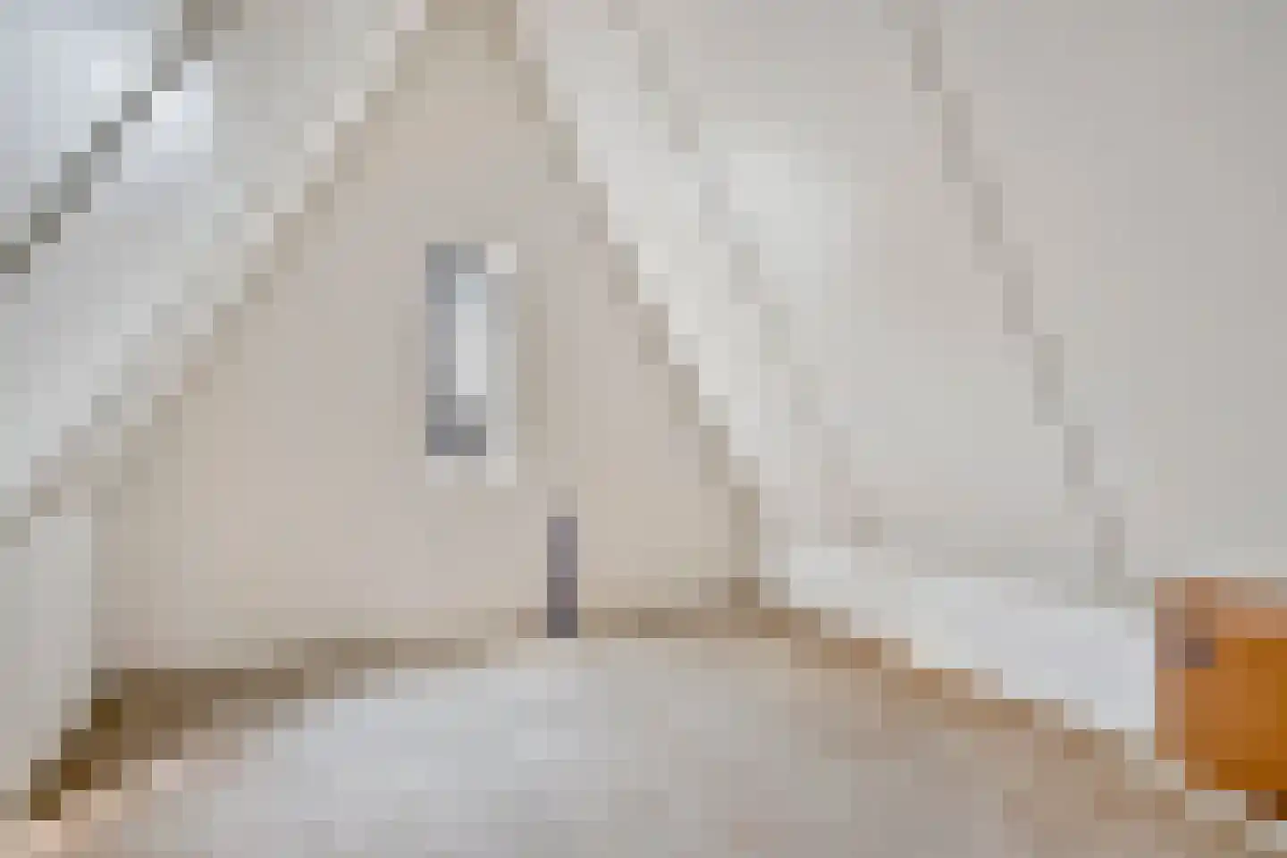 Jaagpad 31 Haastrecht thumbnail 30