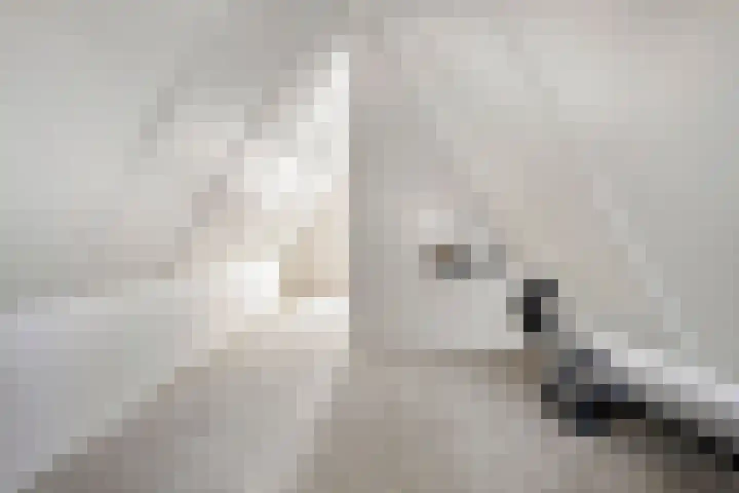 Jaagpad 31 Haastrecht thumbnail 33