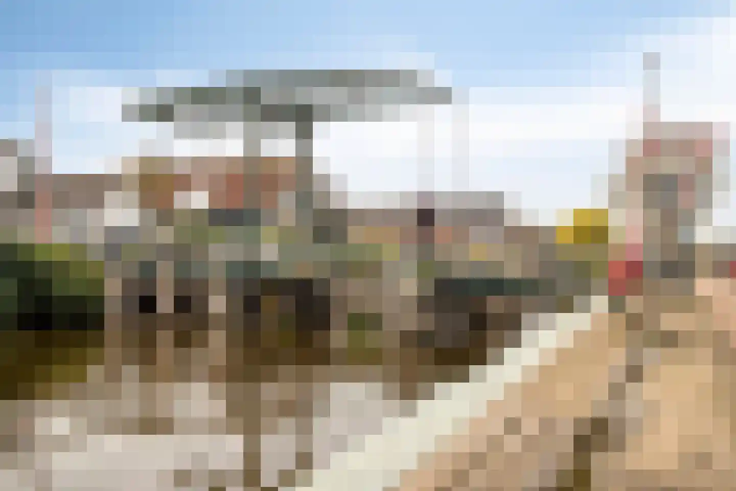 Jaagpad 31 Haastrecht thumbnail 36