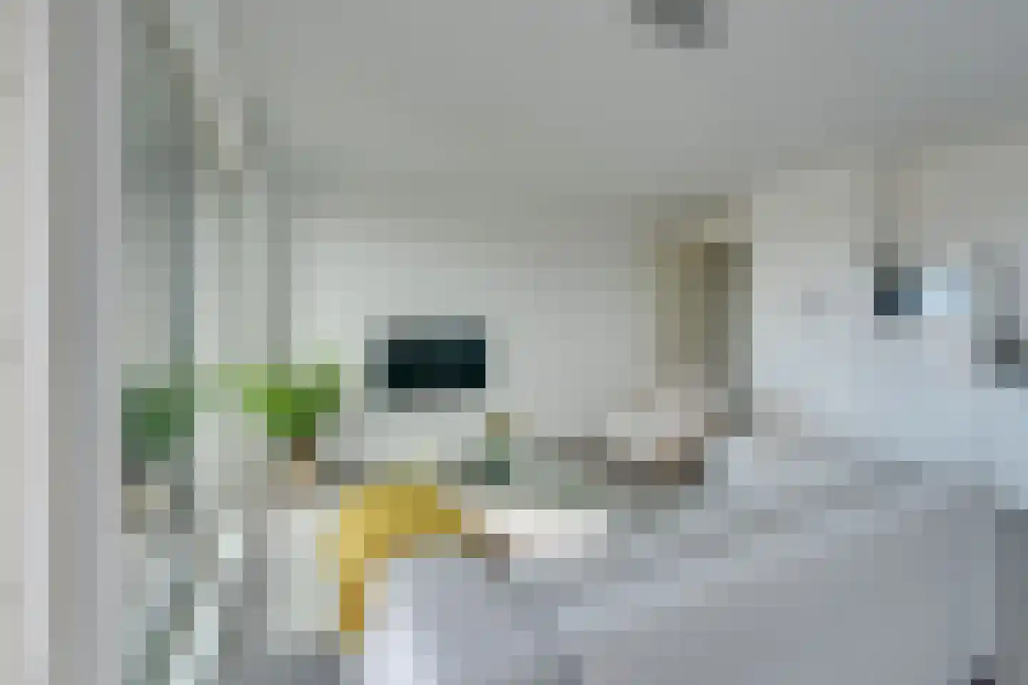 Jaagpad 37 Alkmaar thumbnail 10