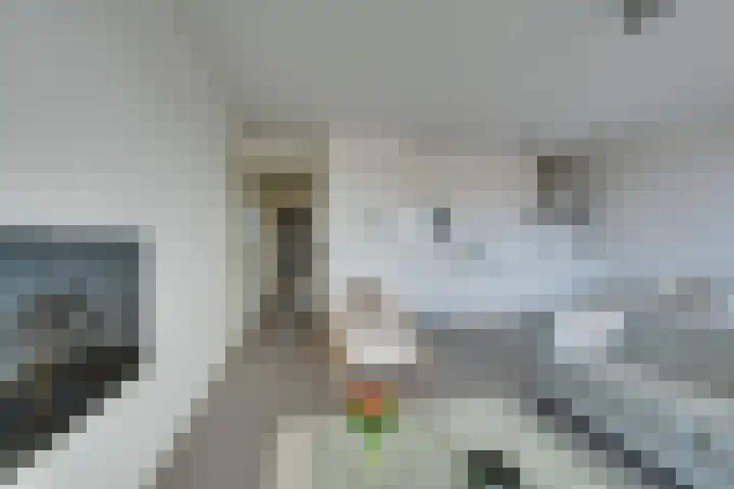 Jaagpad 37 Alkmaar thumbnail 11