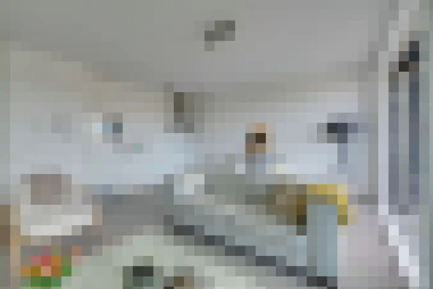Jaagpad 37 Alkmaar thumbnail 12