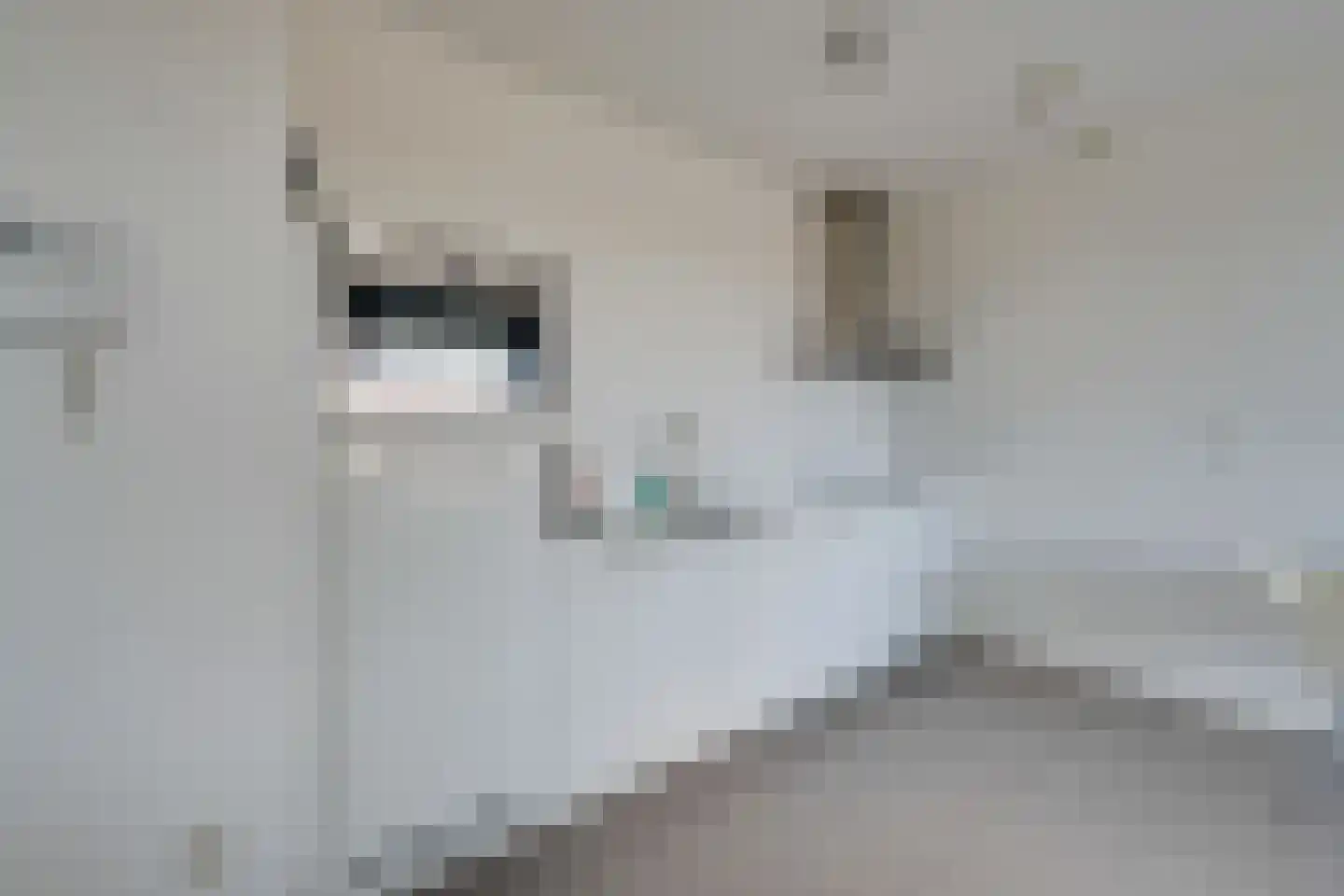 Jaagpad 37 Alkmaar thumbnail 13