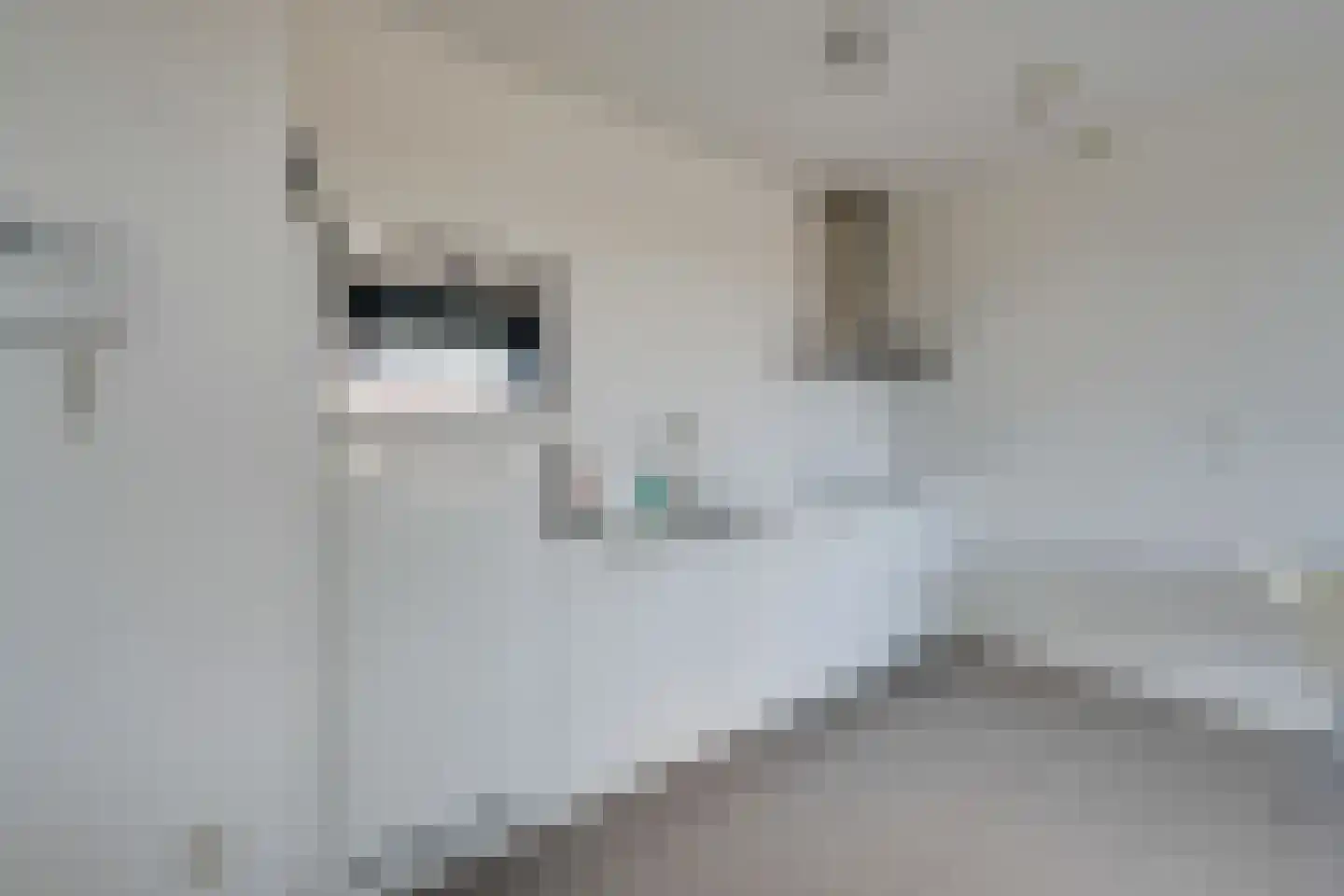 Jaagpad 37 Alkmaar thumbnail 14