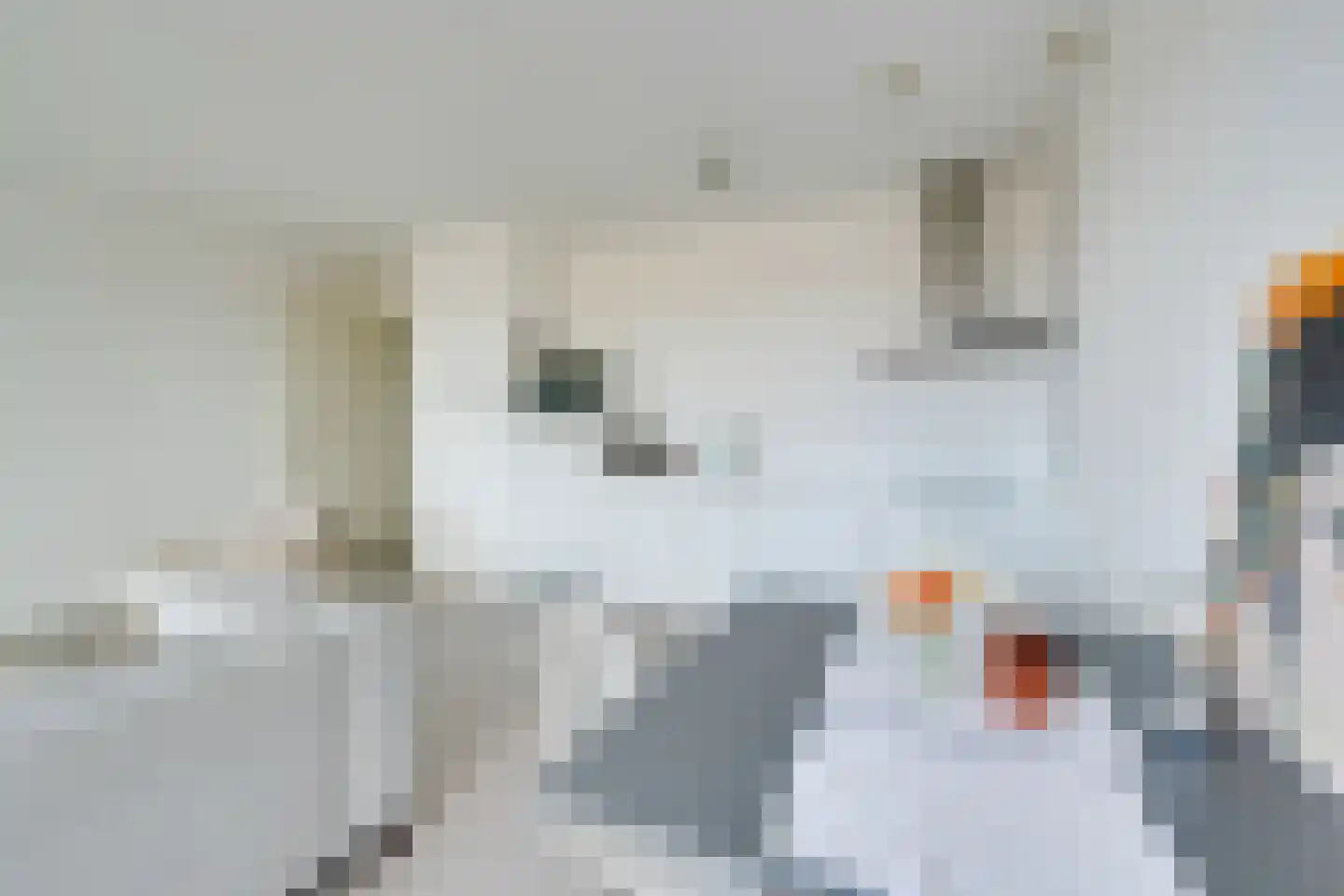 Jaagpad 37 Alkmaar thumbnail 16