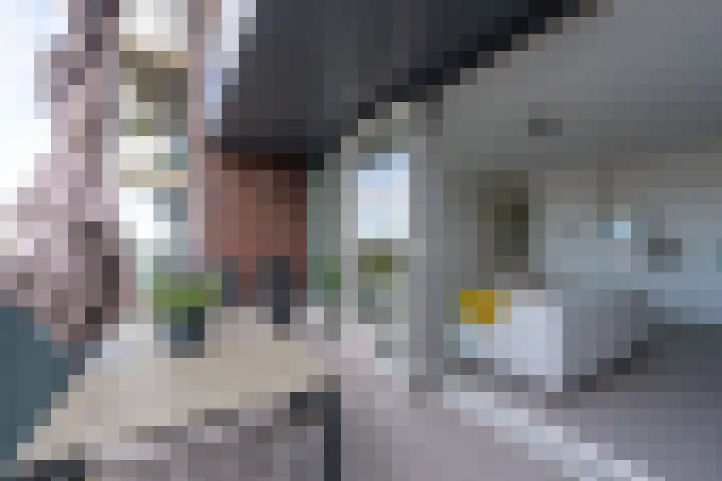 Jaagpad 37 Alkmaar thumbnail 17