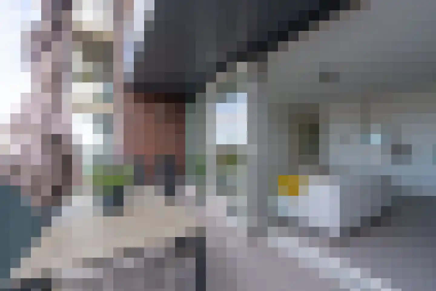 Jaagpad 37 Alkmaar thumbnail 18